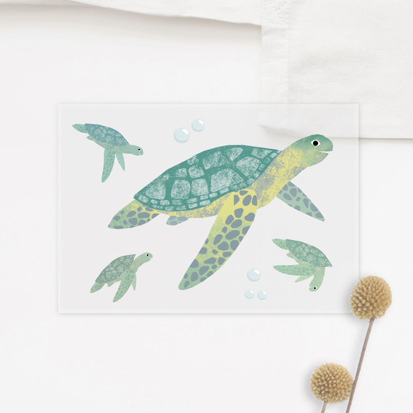 buegelbild_schildkroete