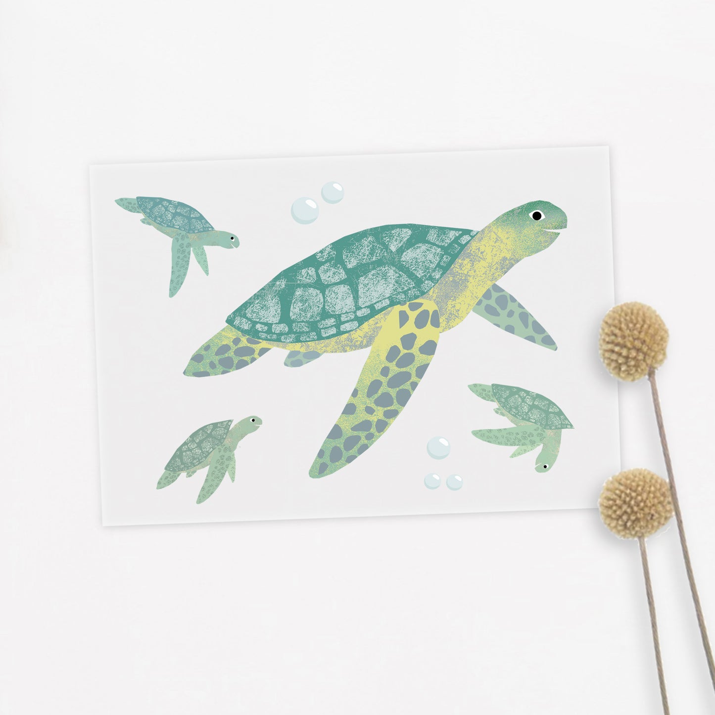 buegelbild_schildkroete
