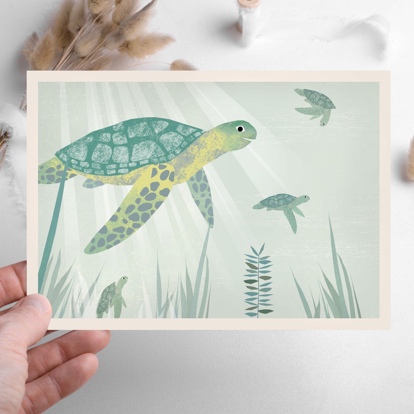 karte-schildkrote