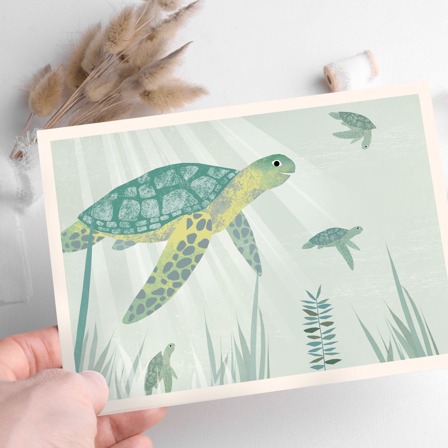 karte-schildkrote