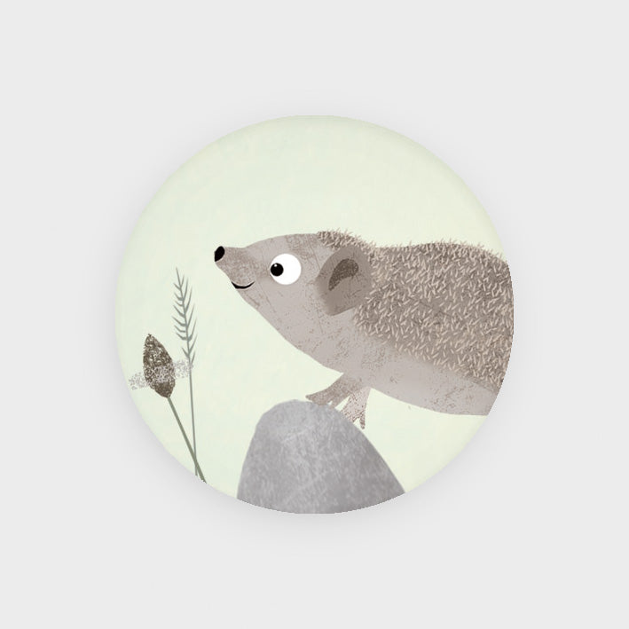 magnet-igel