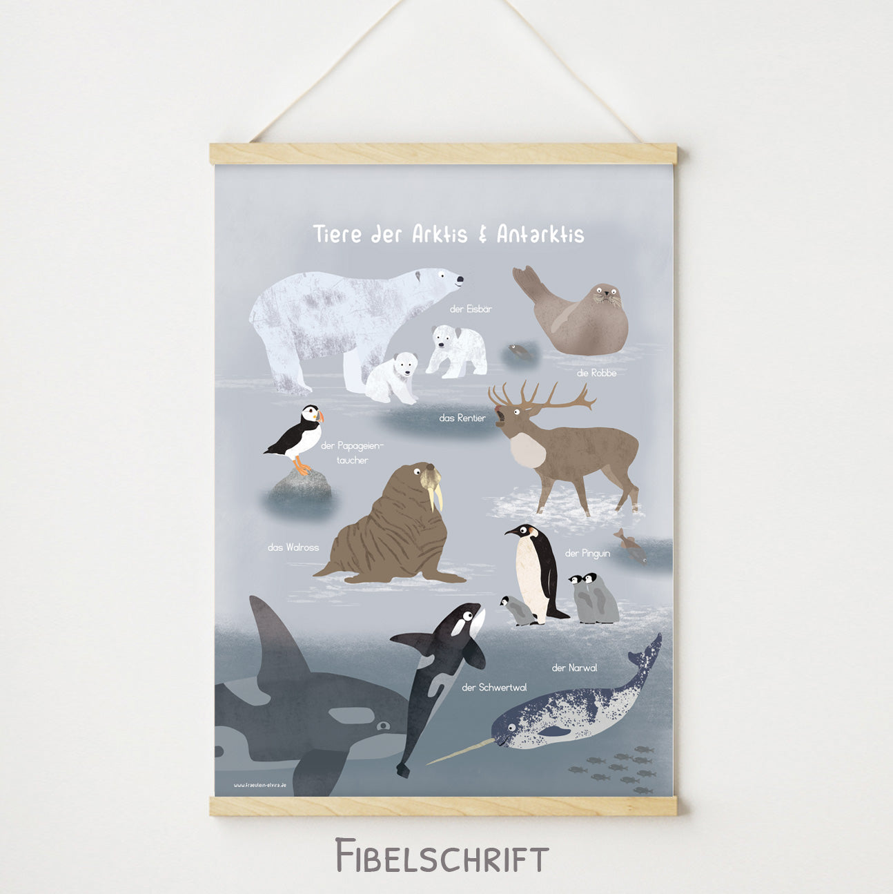 poster-tiere-arktis-antarktis
