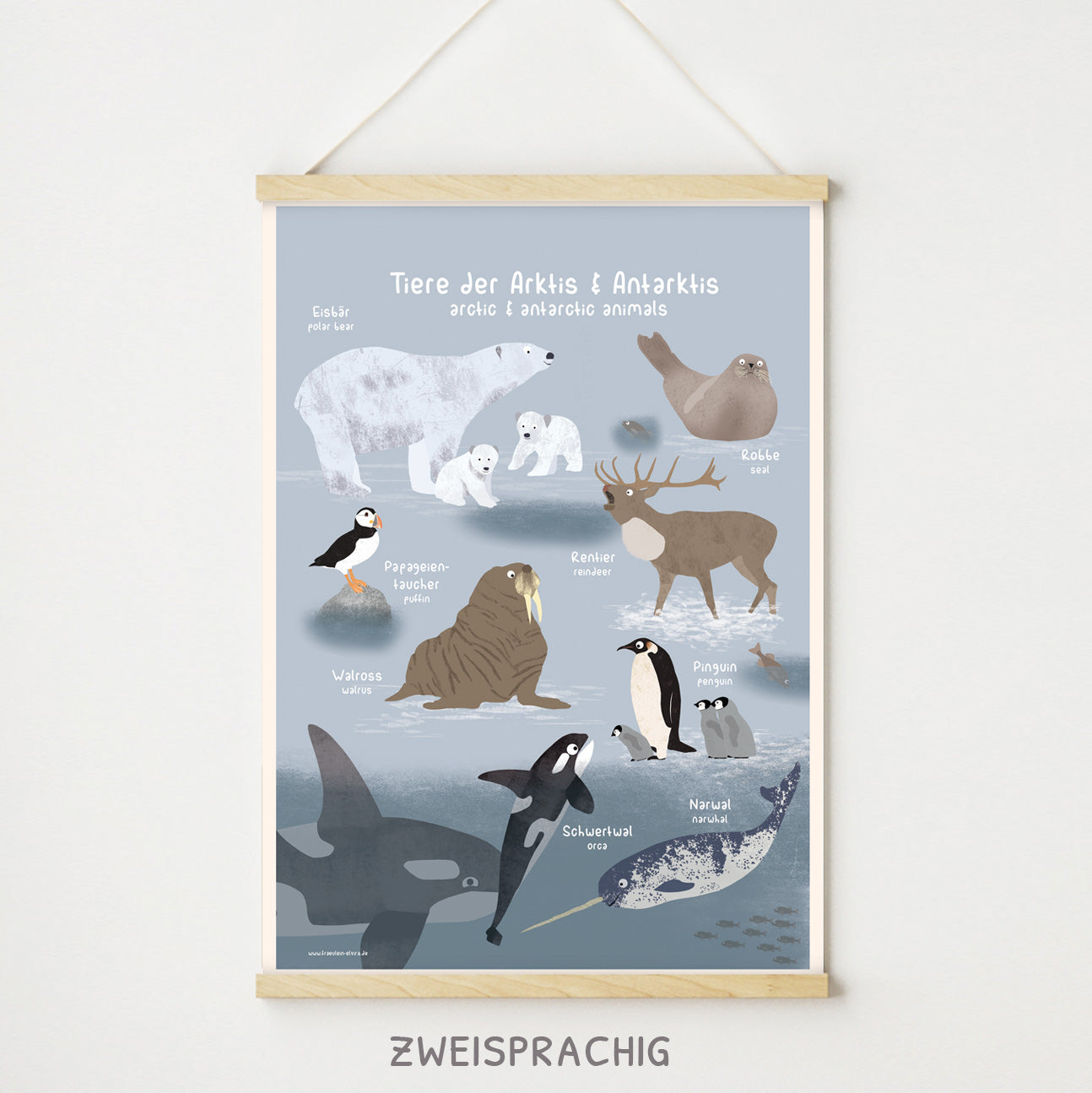 poster-tiere-arktis-antarktis