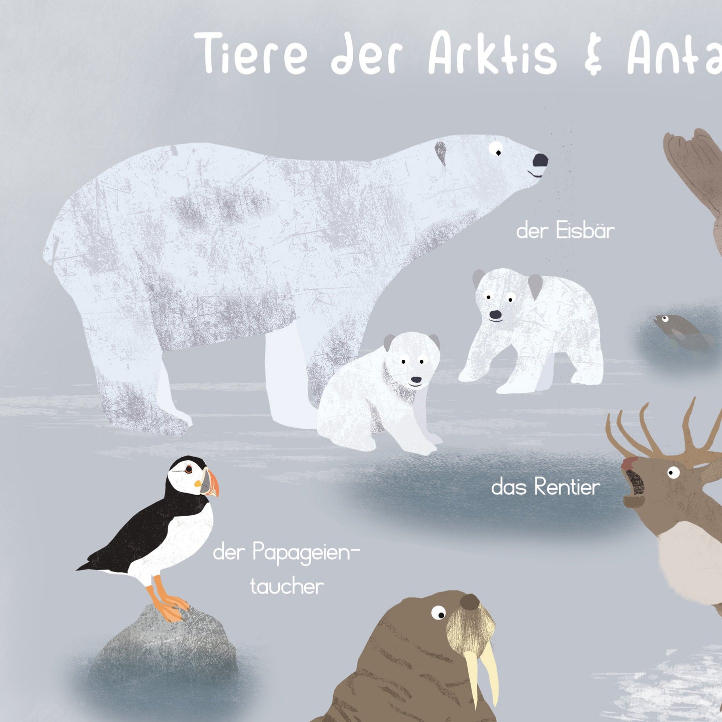 poster-tiere-arktis-antarktis