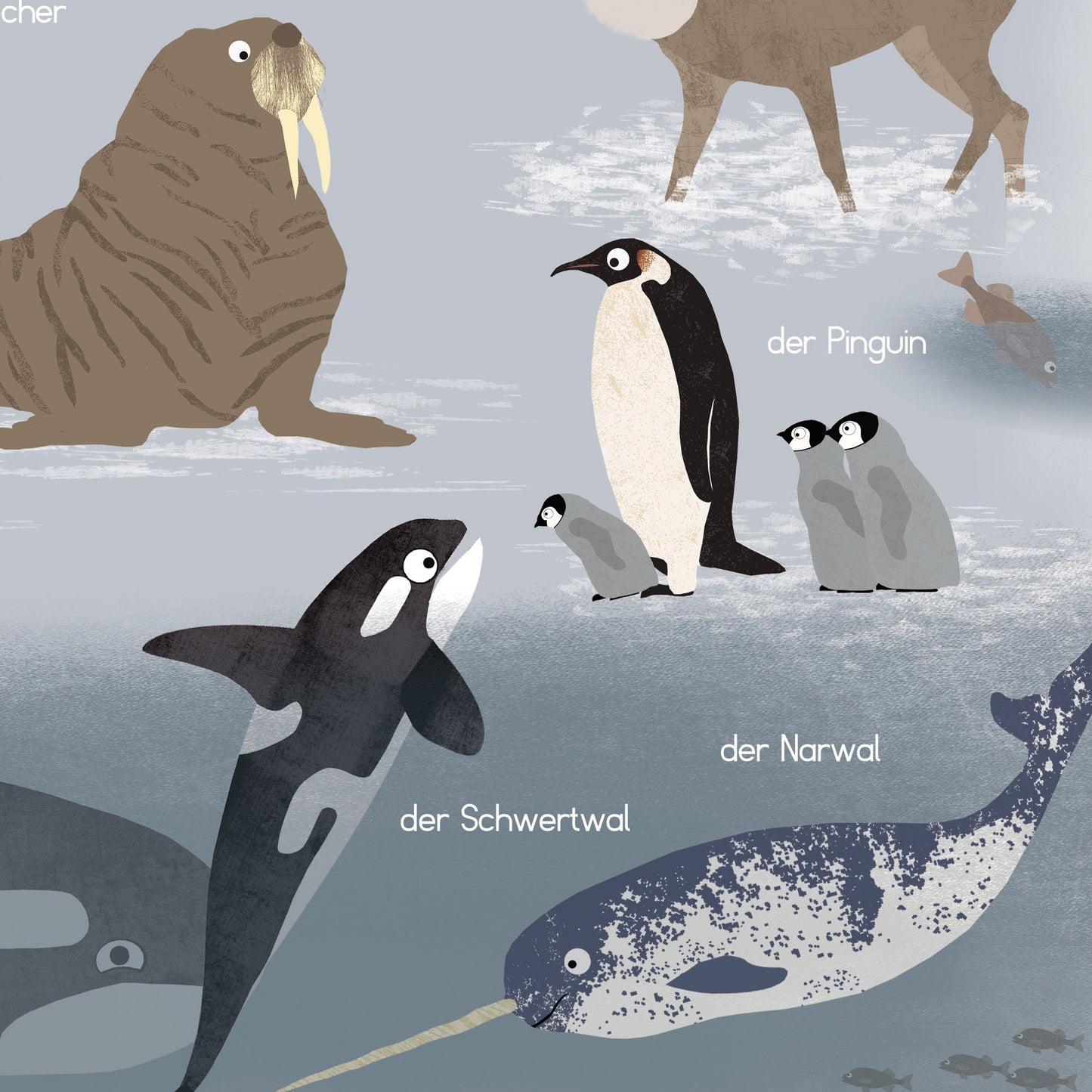 poster-tiere-arktis-antarktis