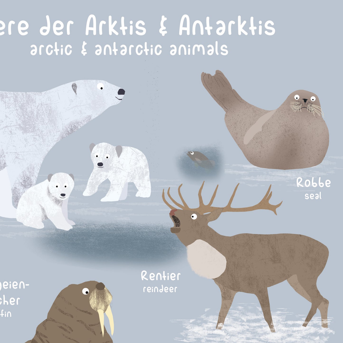 poster-tiere-arktis-antarktis