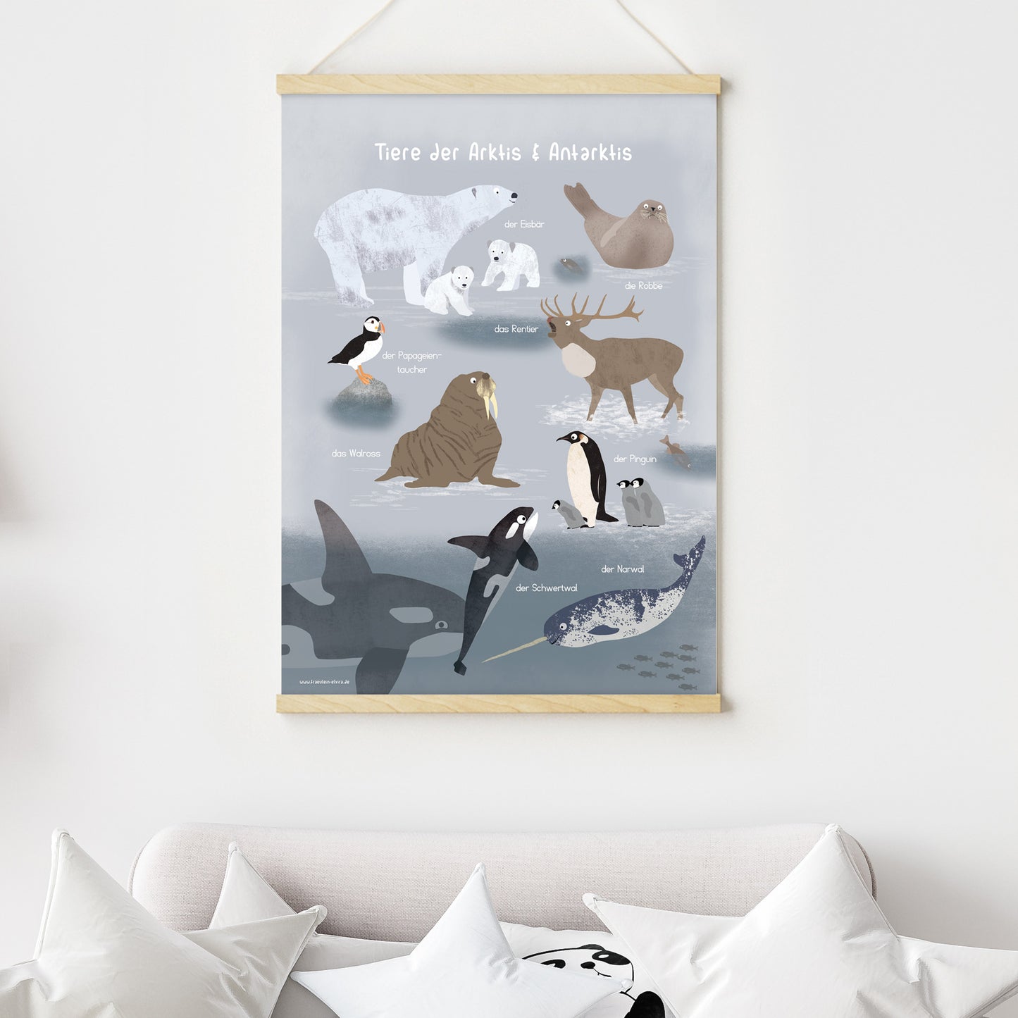 poster-tiere-arktis-antarktis