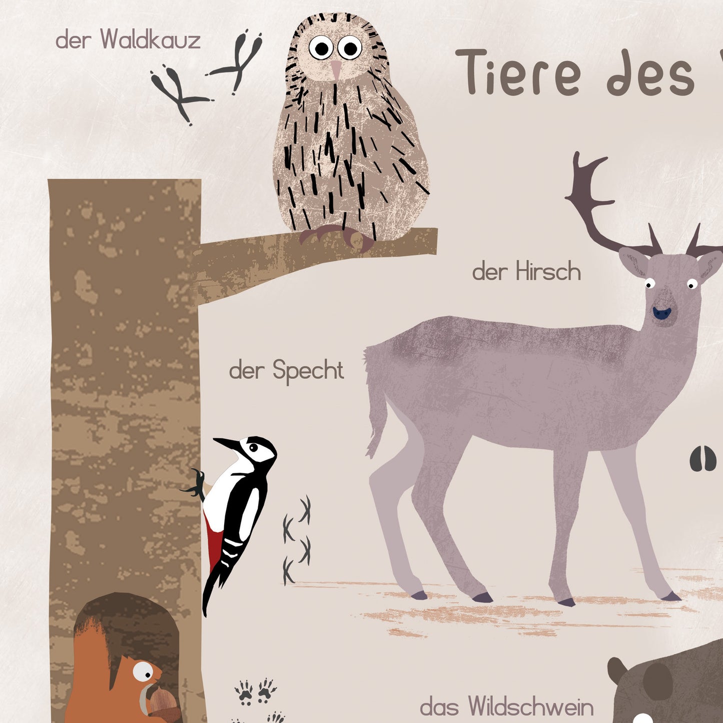 poster-waldtiere