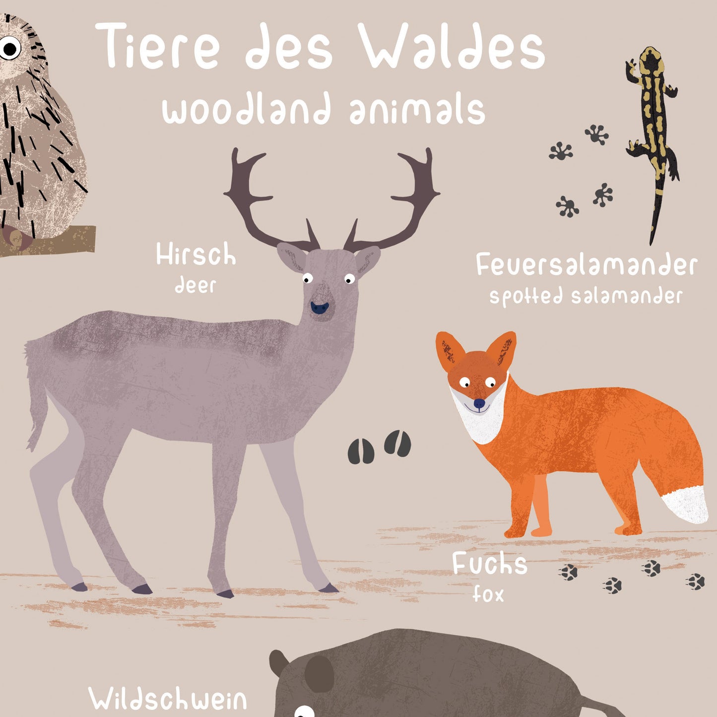 poster-waldtiere