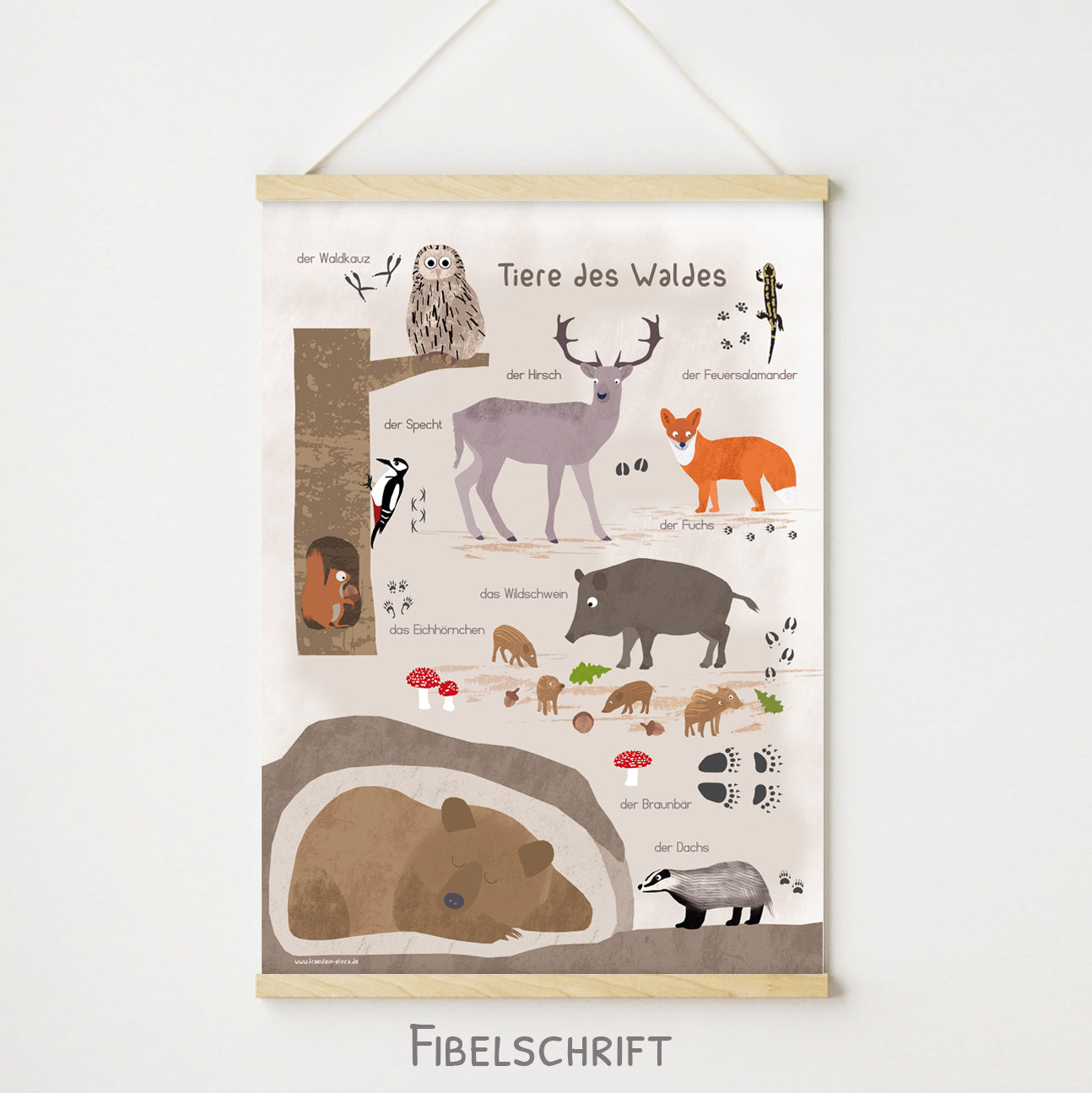 poster-waldtiere