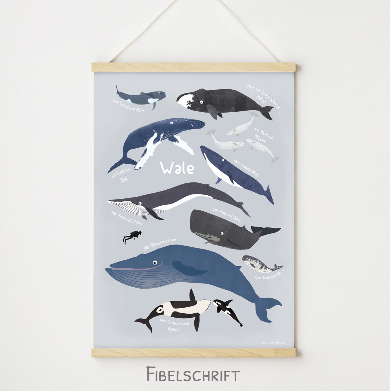 Poster Wale A4 - A2 zwei Varianten