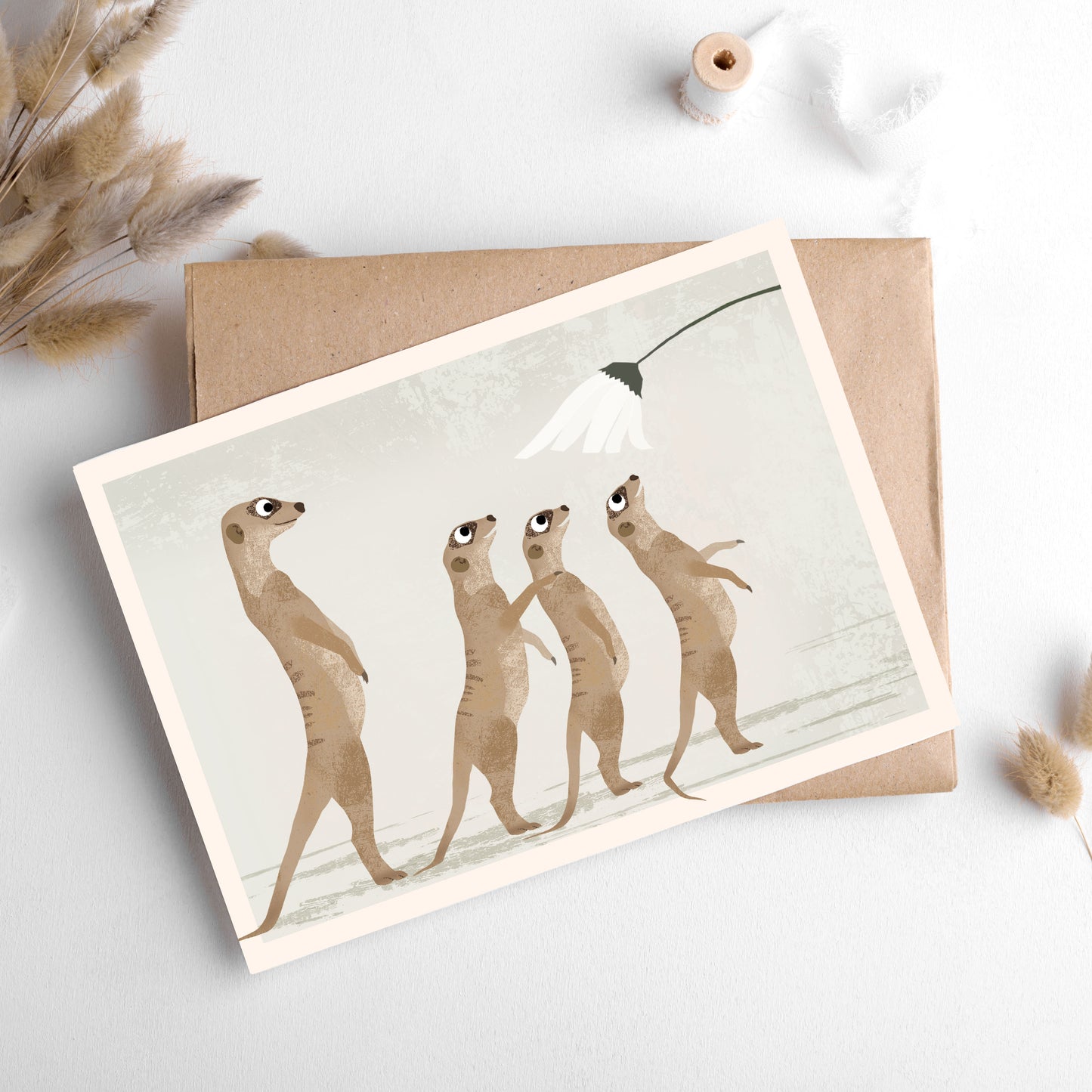 postkarte-erdmannchen