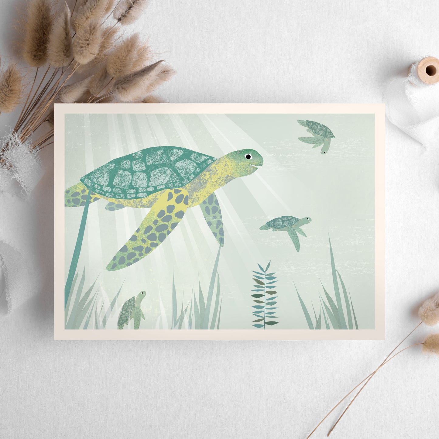 postkarte-schildkrote