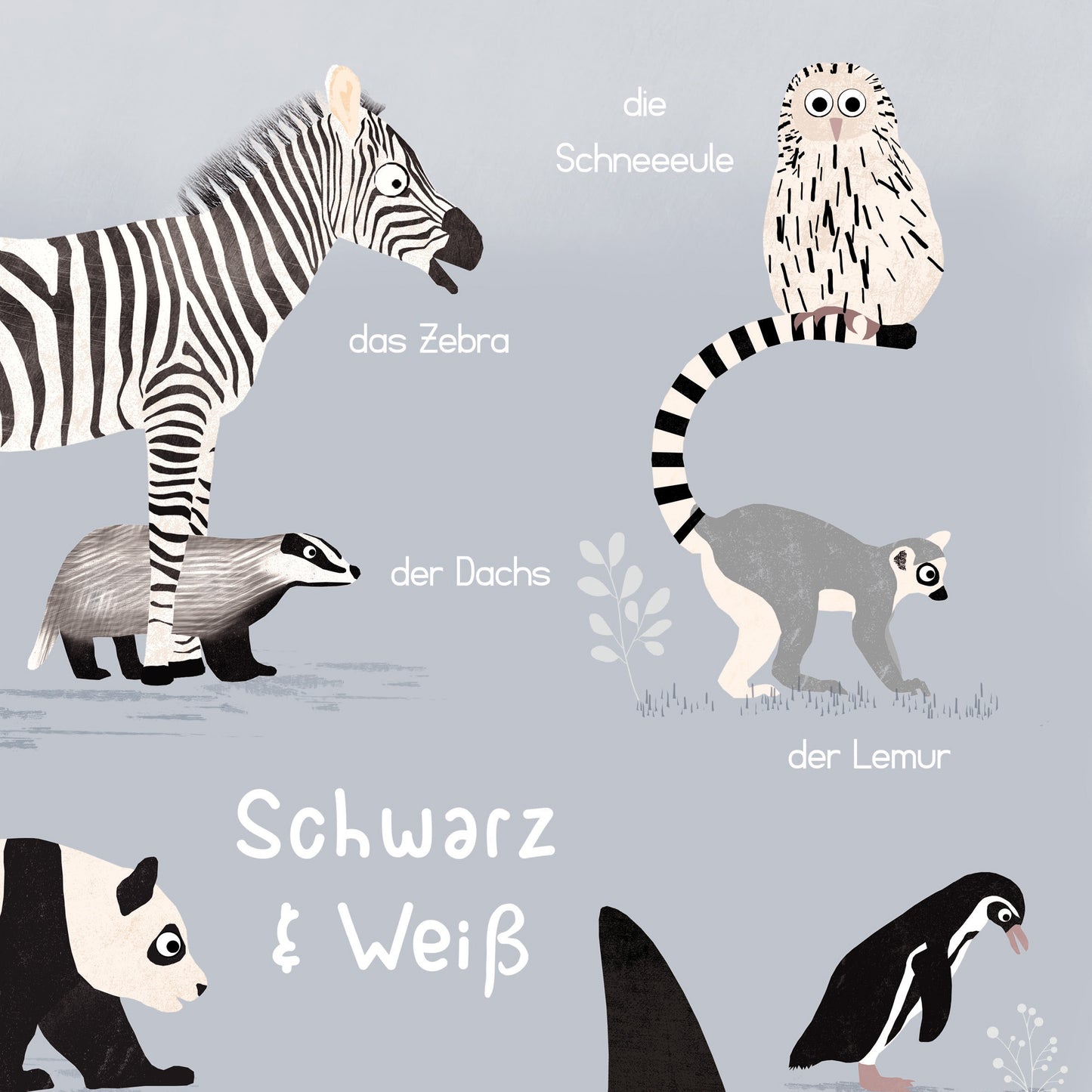 tiere-schwarz-weiss