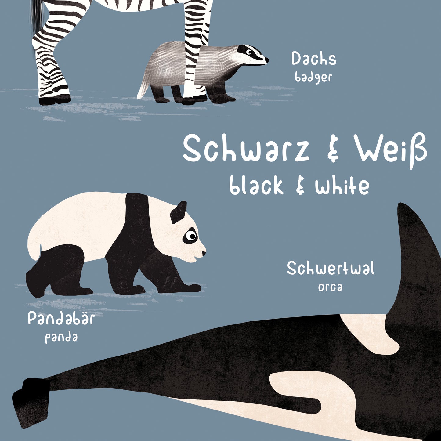 tiere-schwarz-weiss