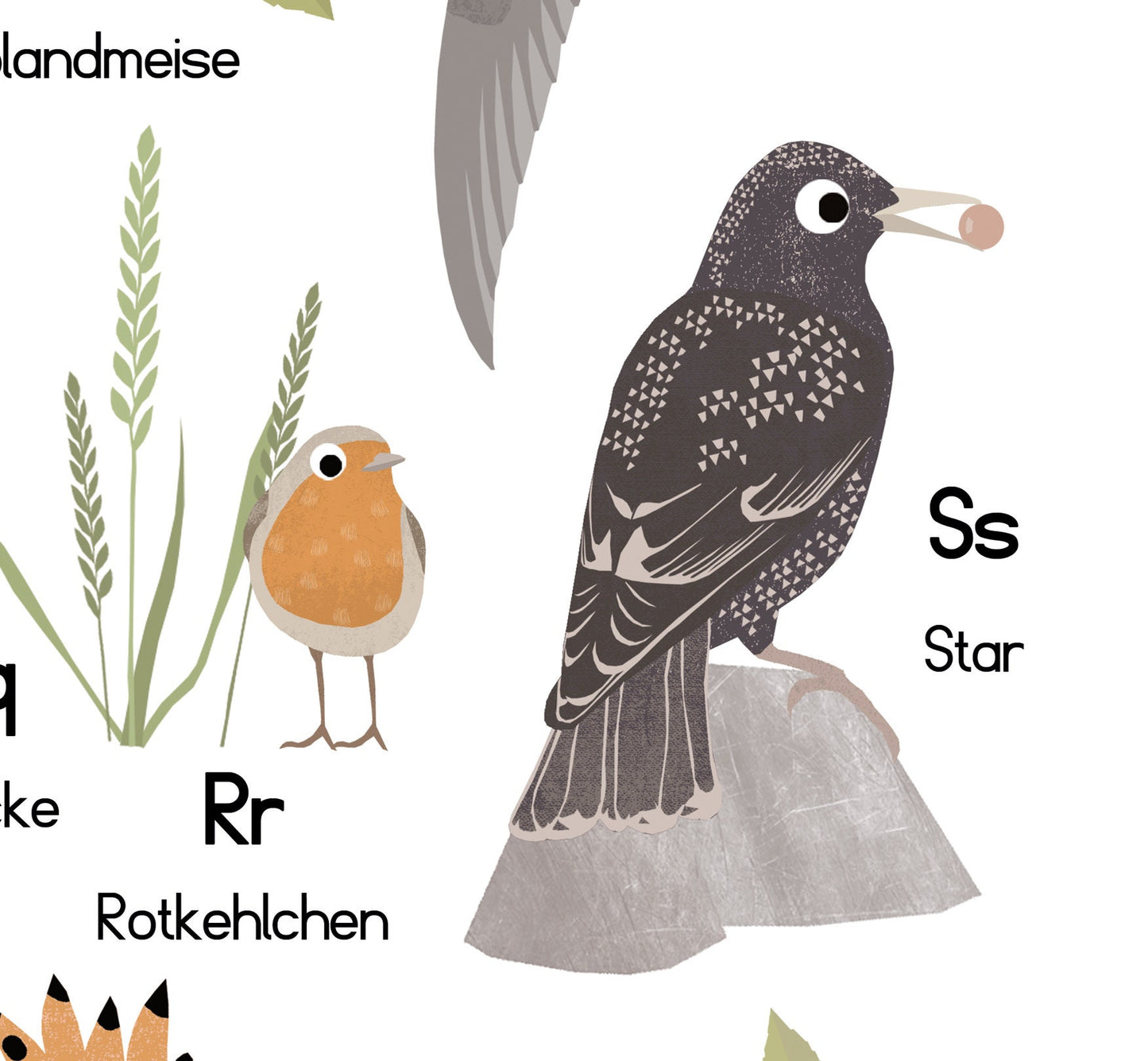 abc-poster-vogel