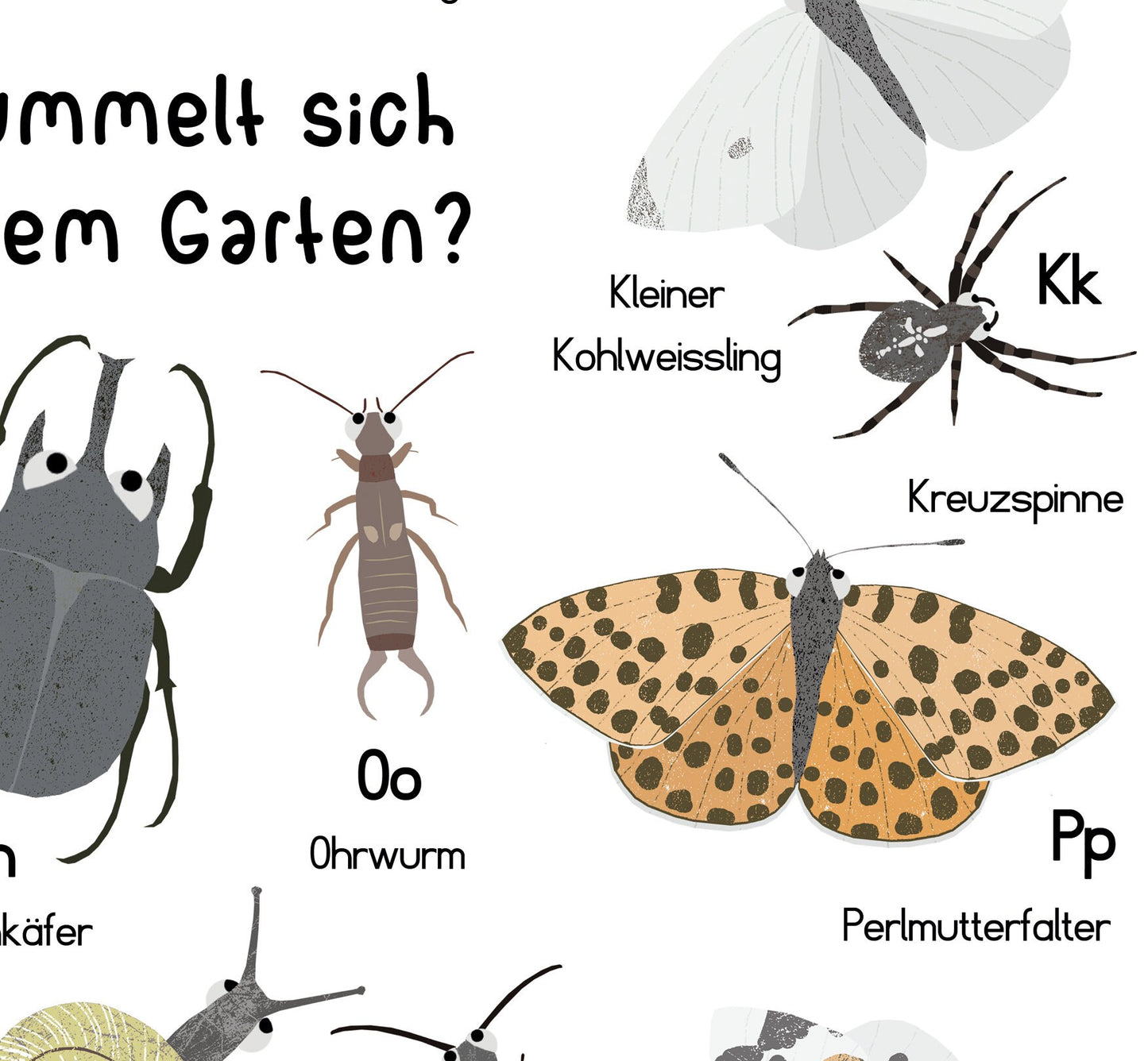 abc-poster-insekten