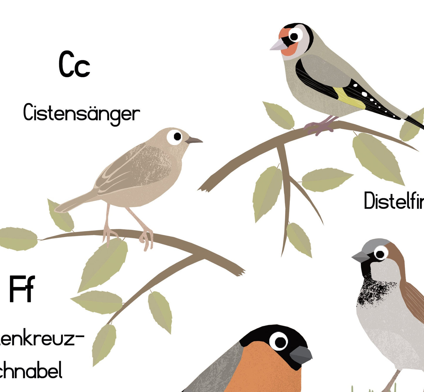 abc-poster-vogel