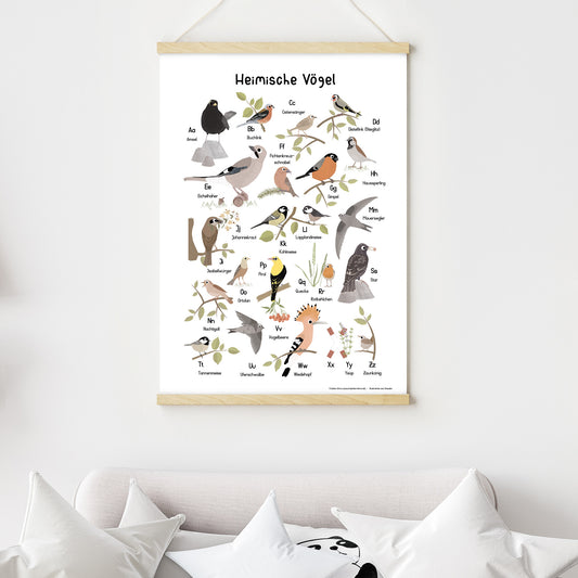 abc-poster-vogel