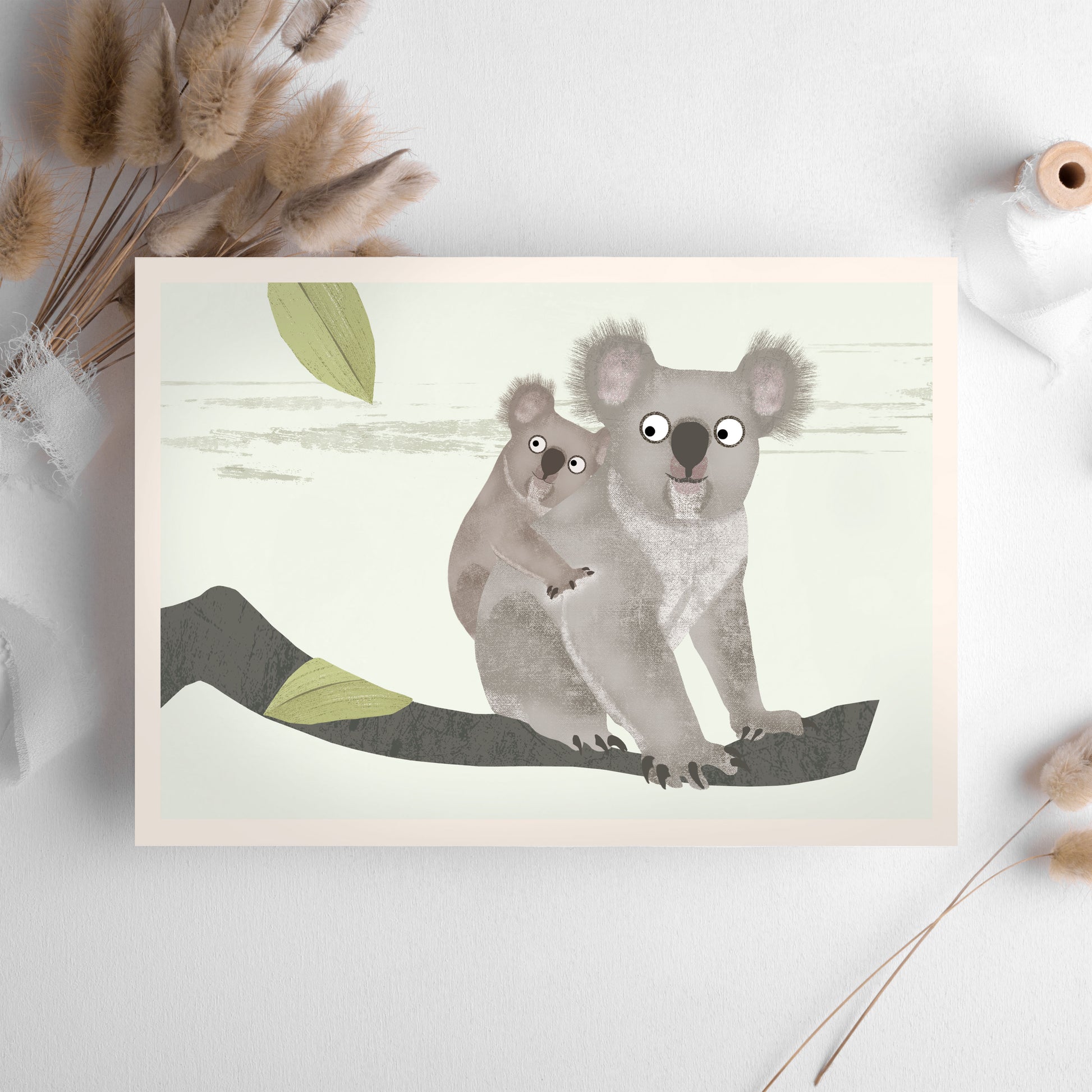 postkarte-koala